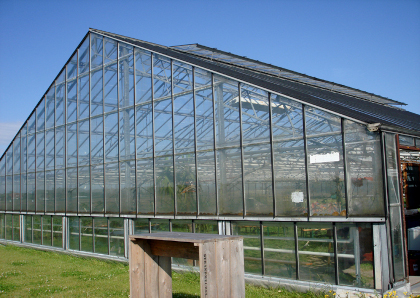 Greenhouse