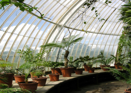 Greenhouse